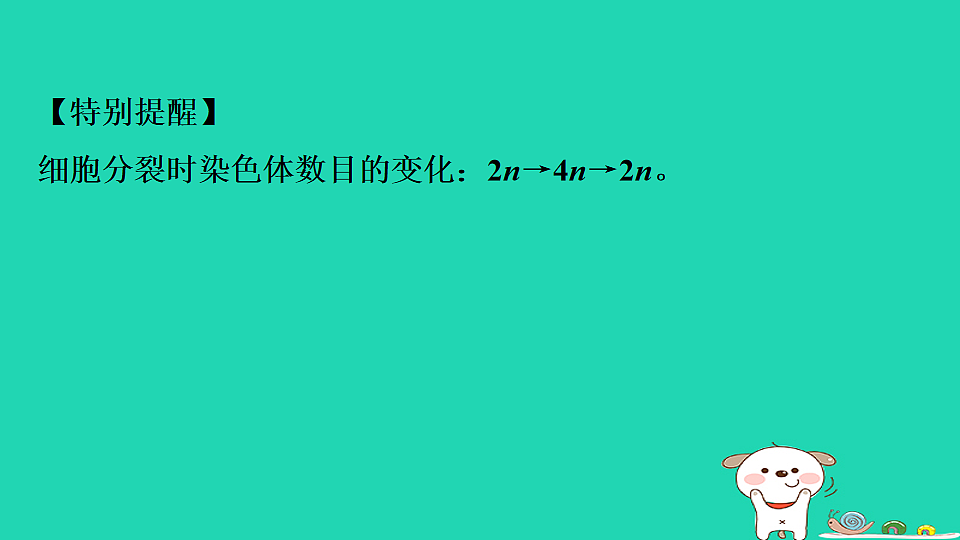 17795221第7页