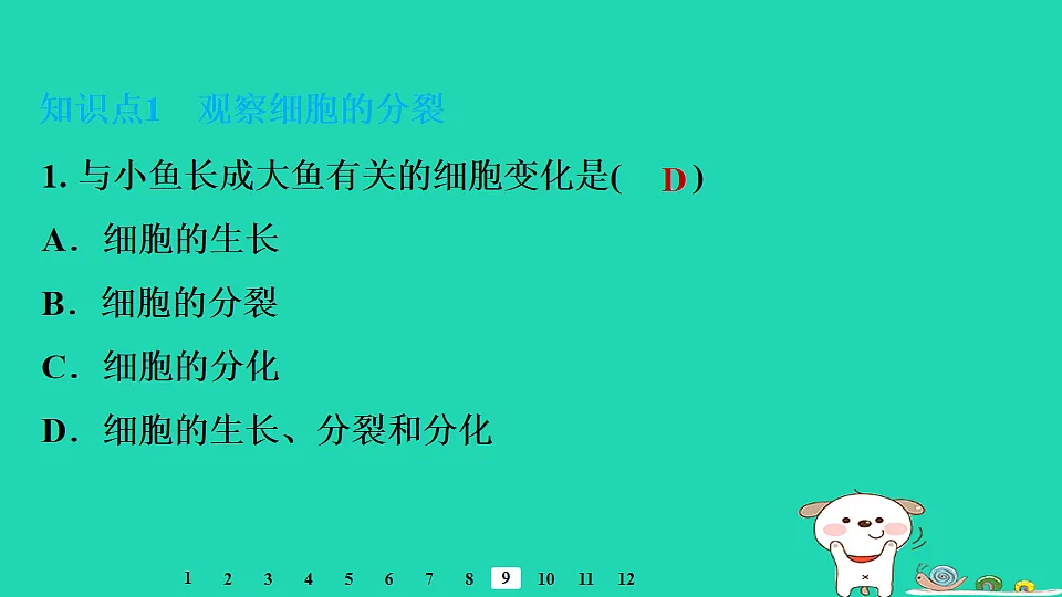 17795221第8页