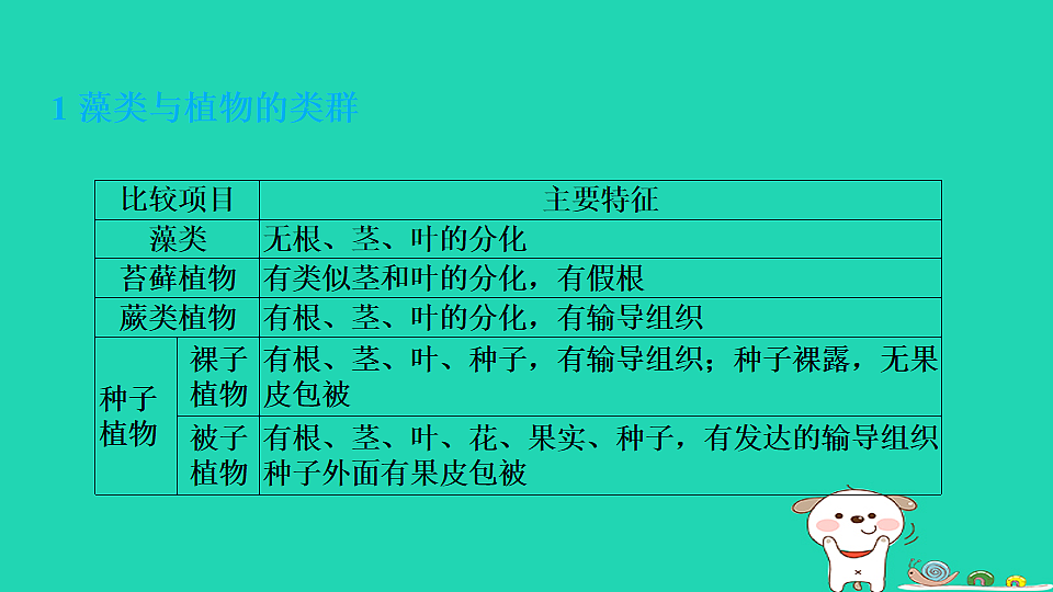 17795223第3页