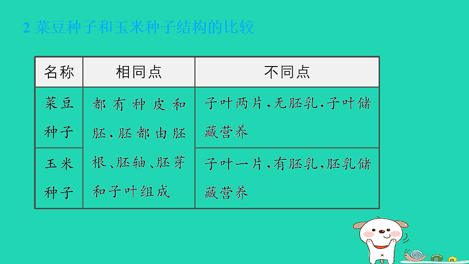 17795223第4页