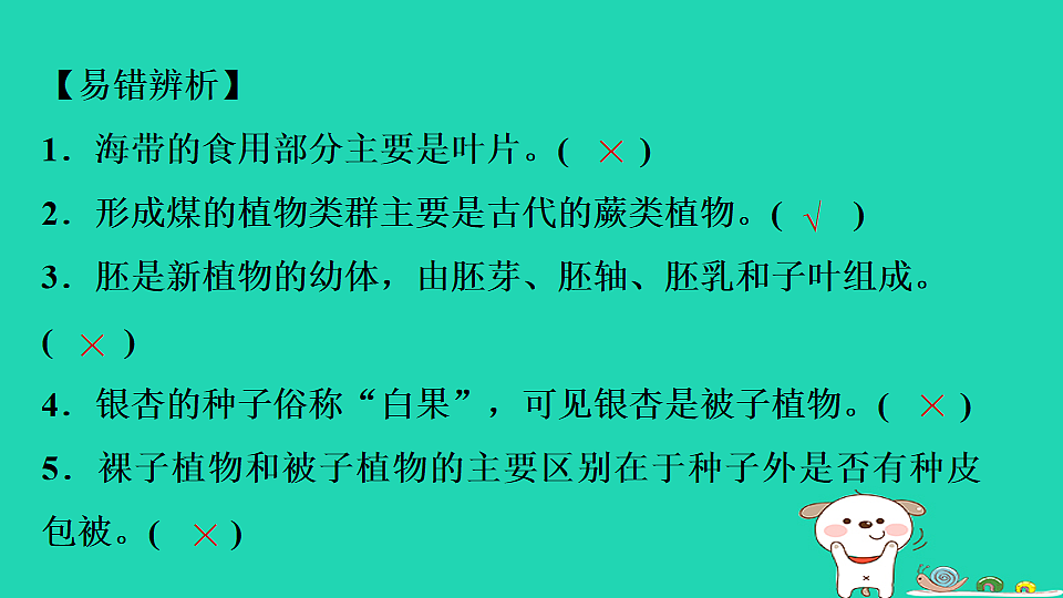 17795223第5页