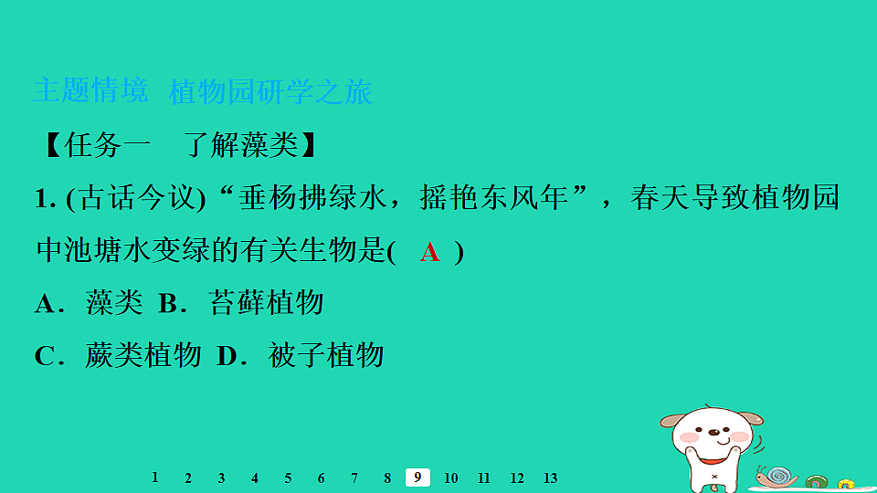 17795223第6页