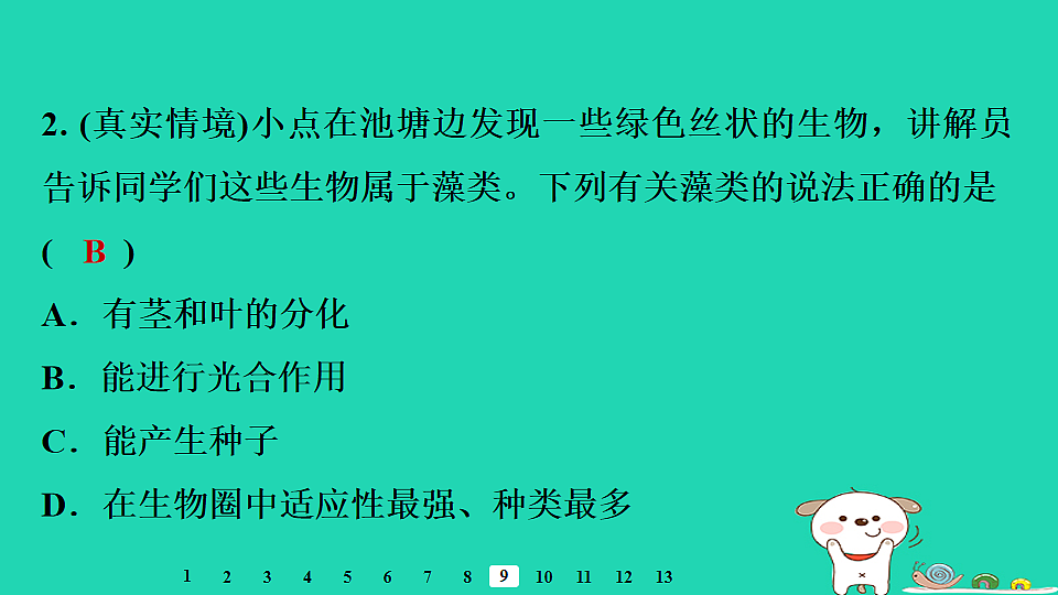 17795223第7页