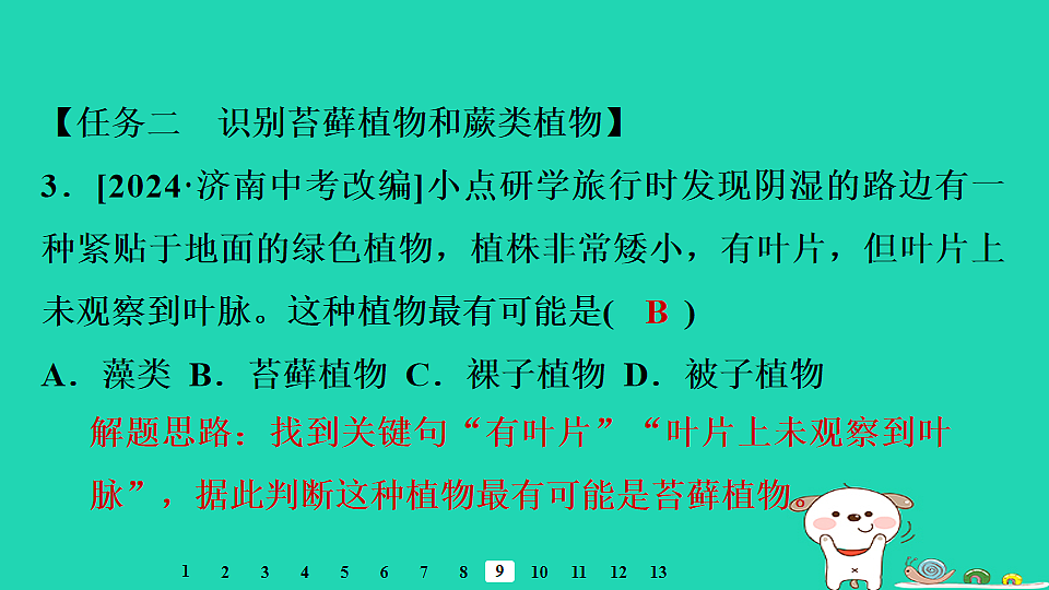 17795223第8页