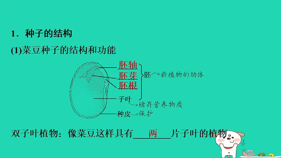 17795224第3页
