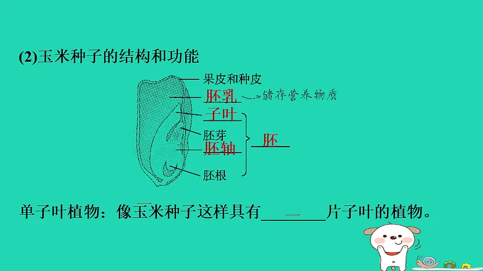 17795224第4页