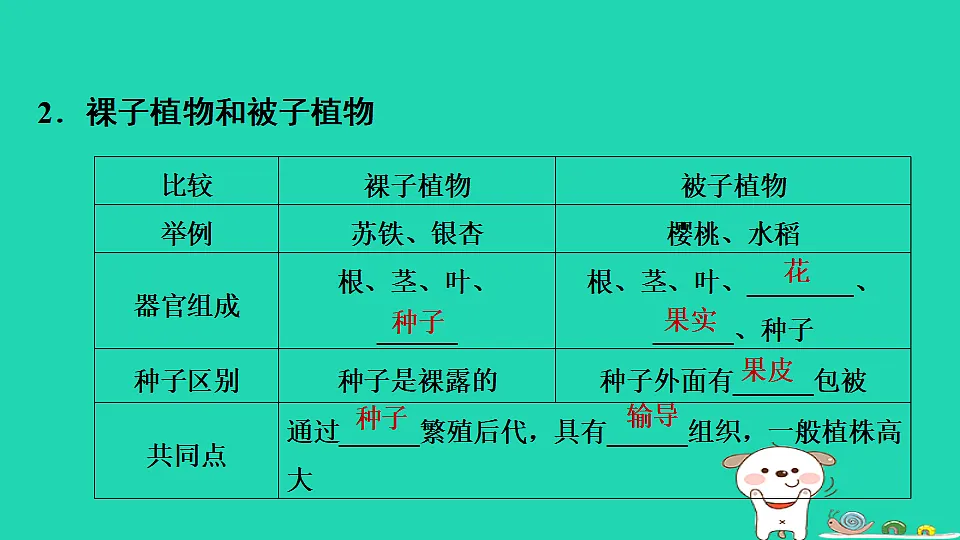 17795224第7页