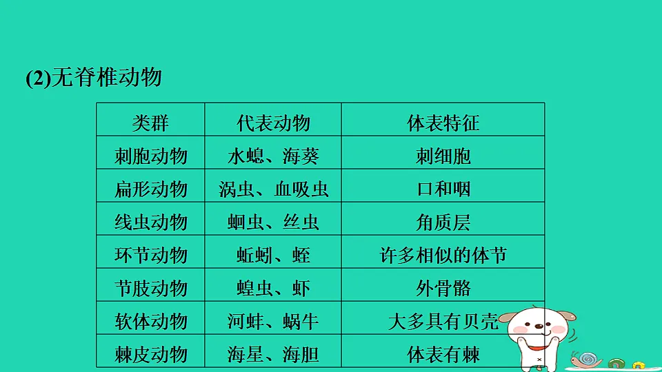17795225第4页