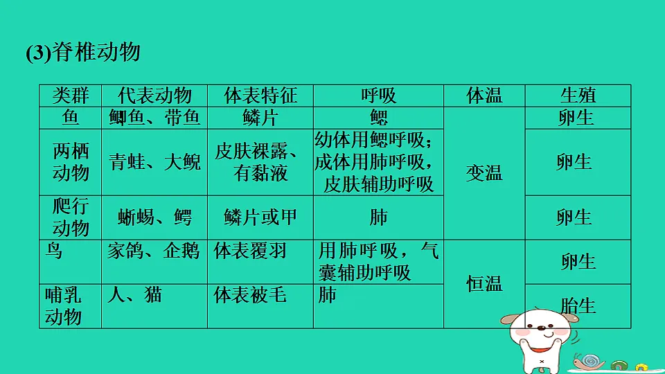 17795225第5页