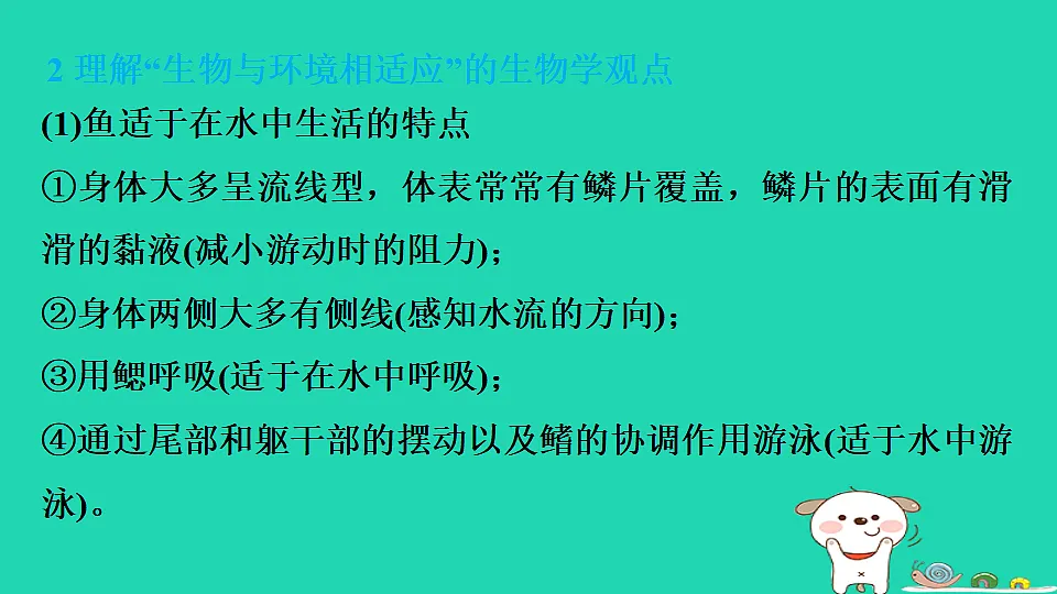 17795225第6页
