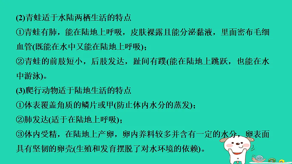 17795225第7页
