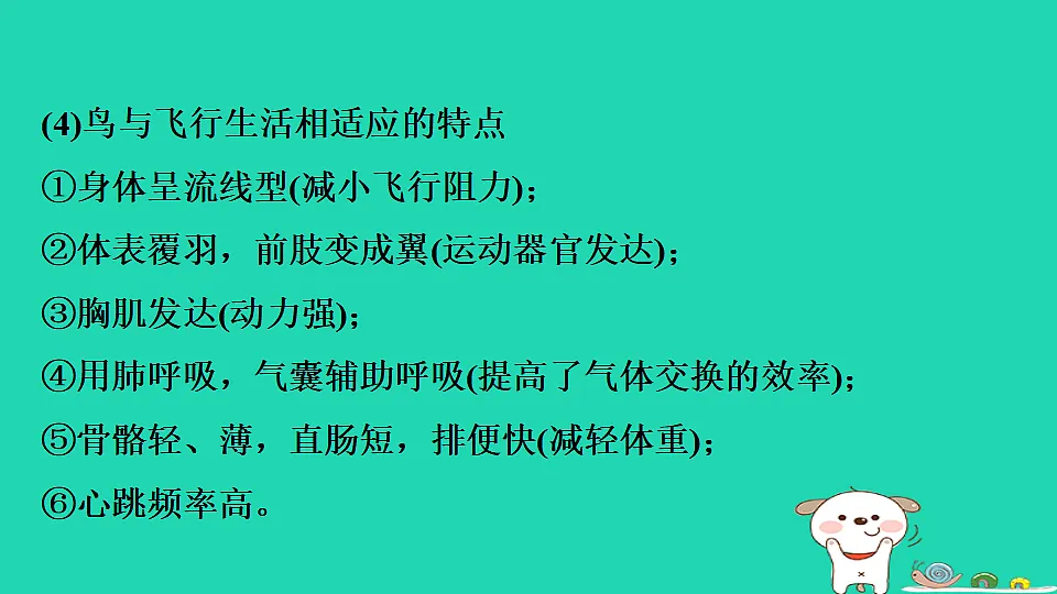 17795225第8页