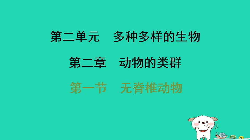 17795226第1页