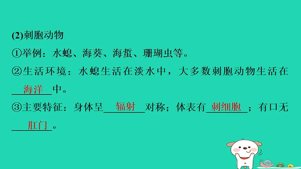17795226第4页