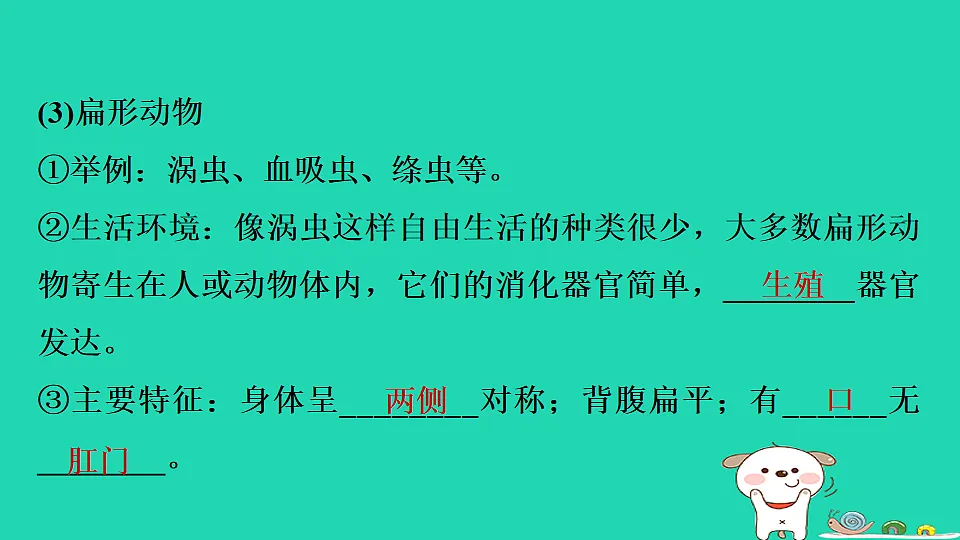 17795226第5页