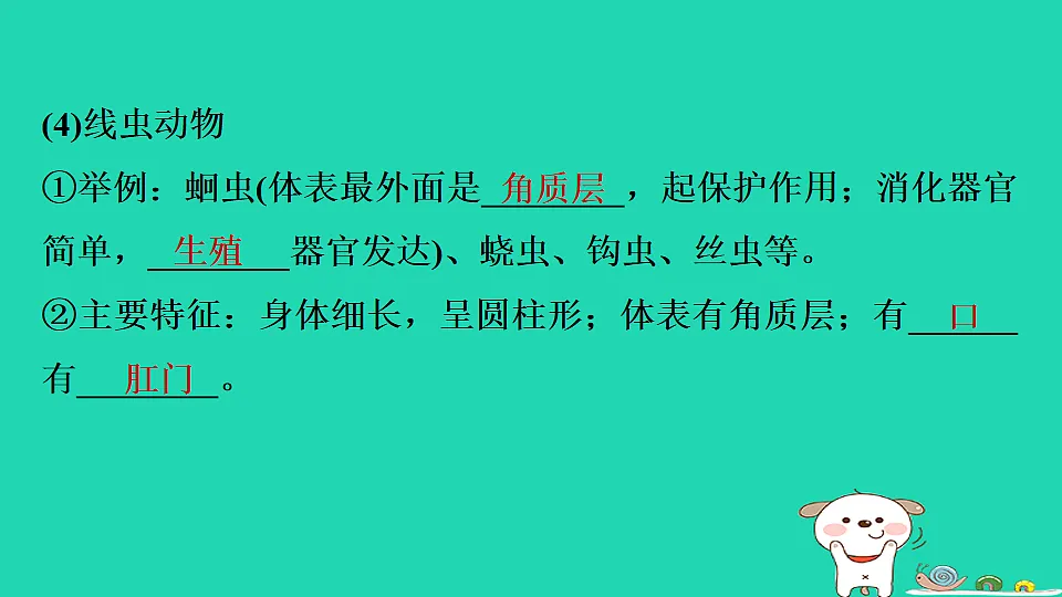 17795226第6页