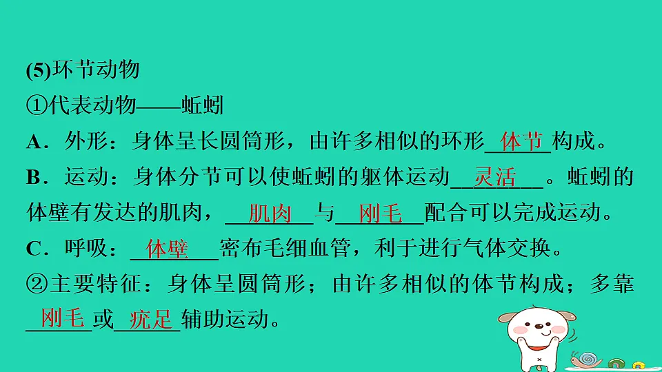 17795226第7页
