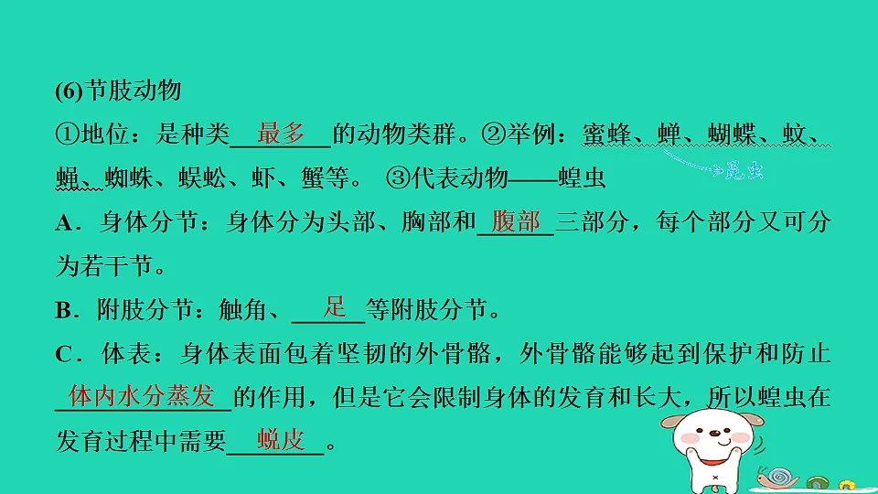 17795226第8页