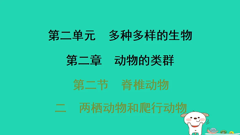 17795229第1页