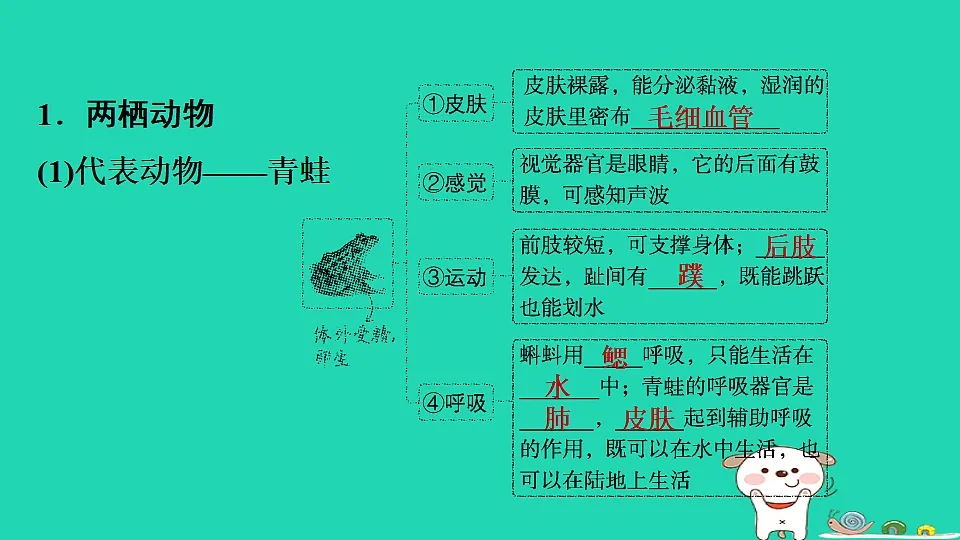 17795229第3页