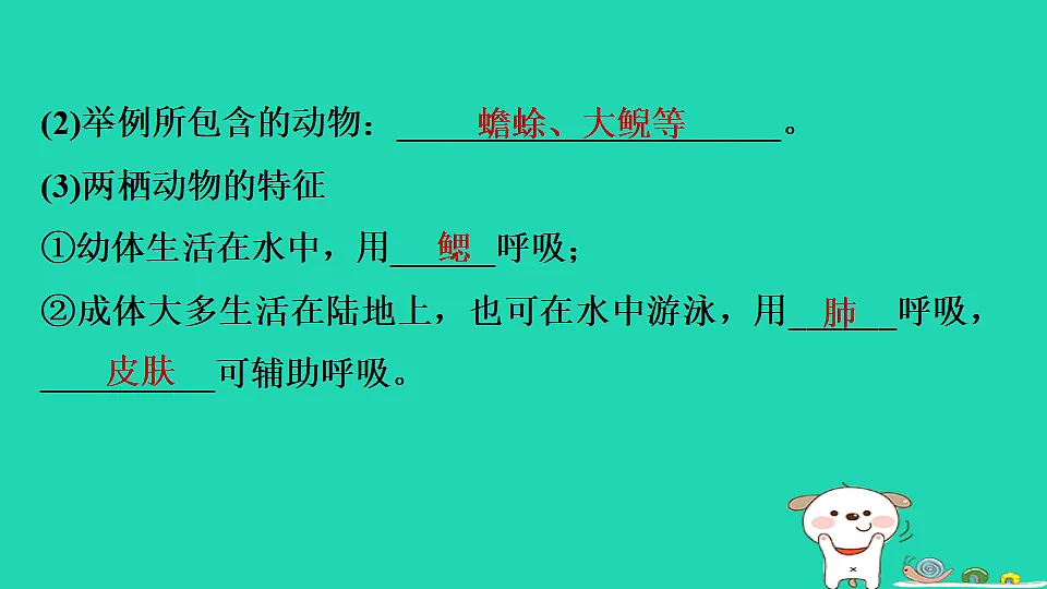 17795229第4页