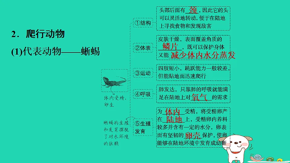 17795229第5页