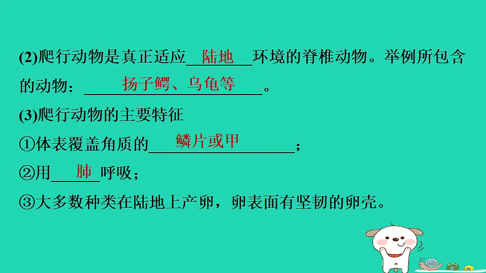 17795229第6页