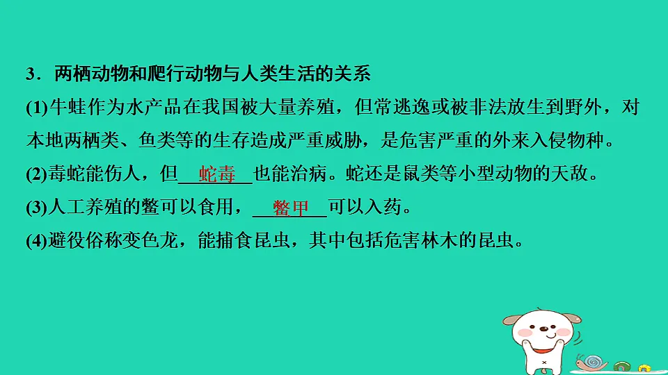 17795229第7页