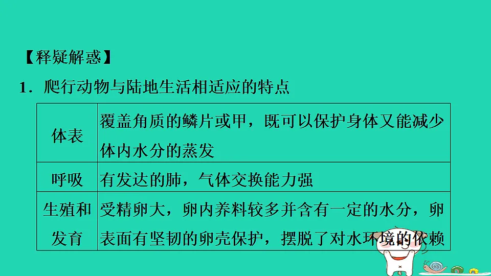 17795229第8页