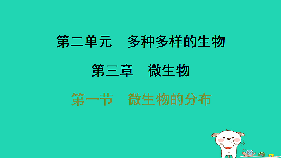 17795231第1页