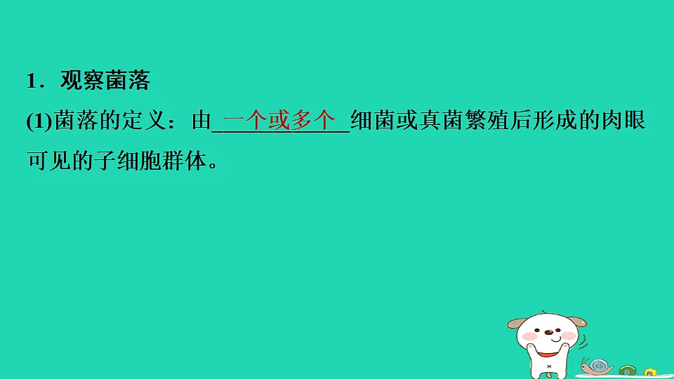 17795231第3页