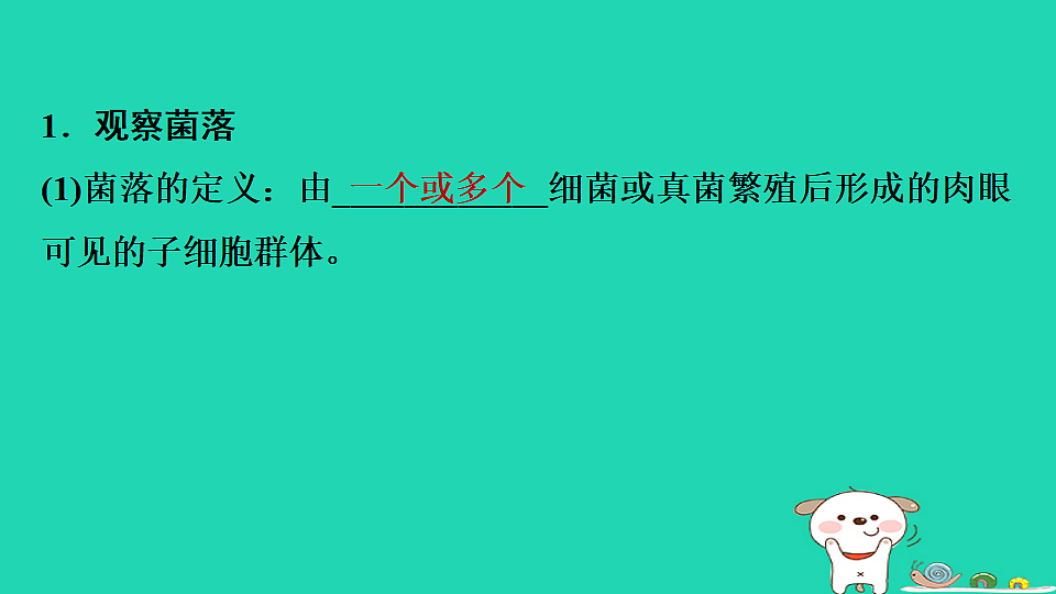 17795231第3页