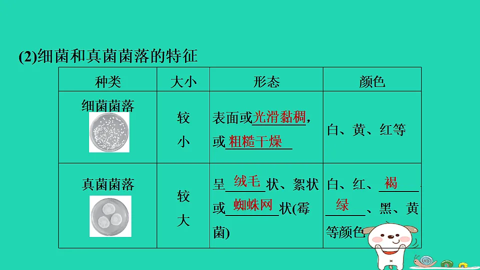 17795231第4页