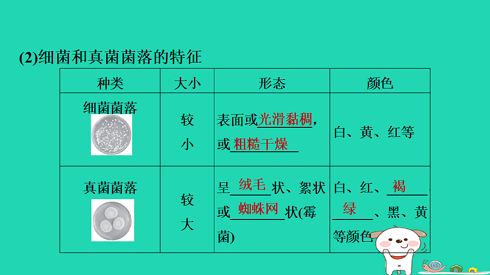 17795231第4页
