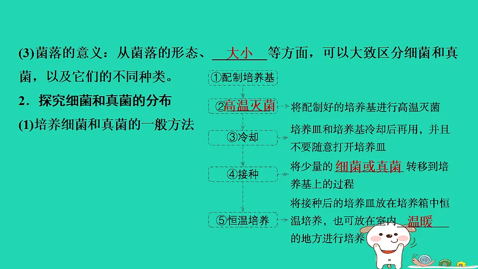 17795231第5页