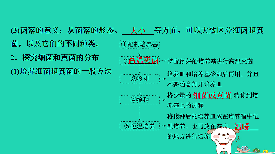 17795231第5页