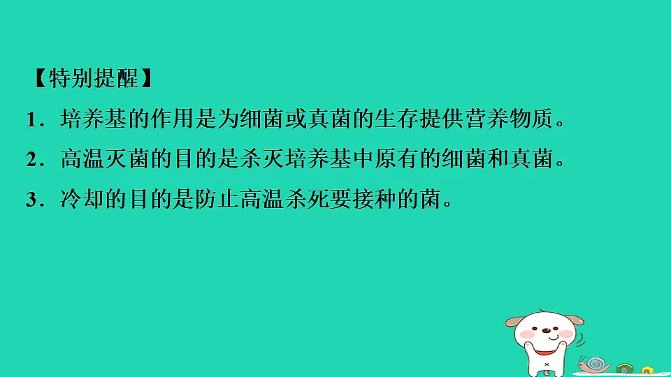 17795231第6页