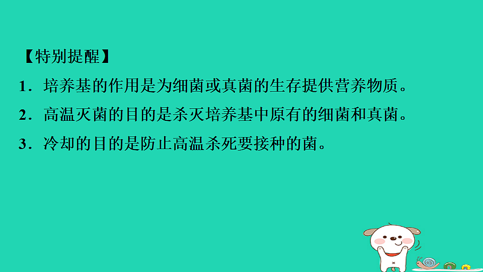 17795231第6页