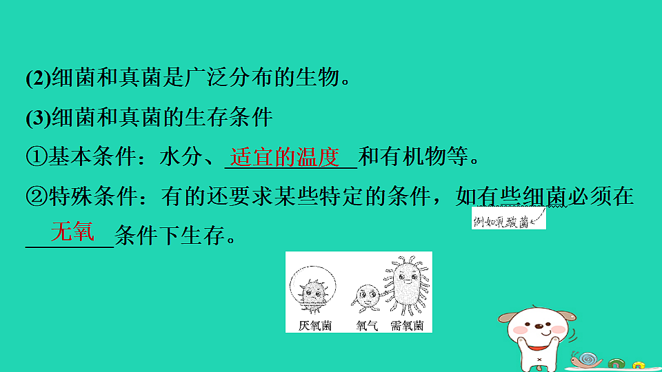 17795231第7页