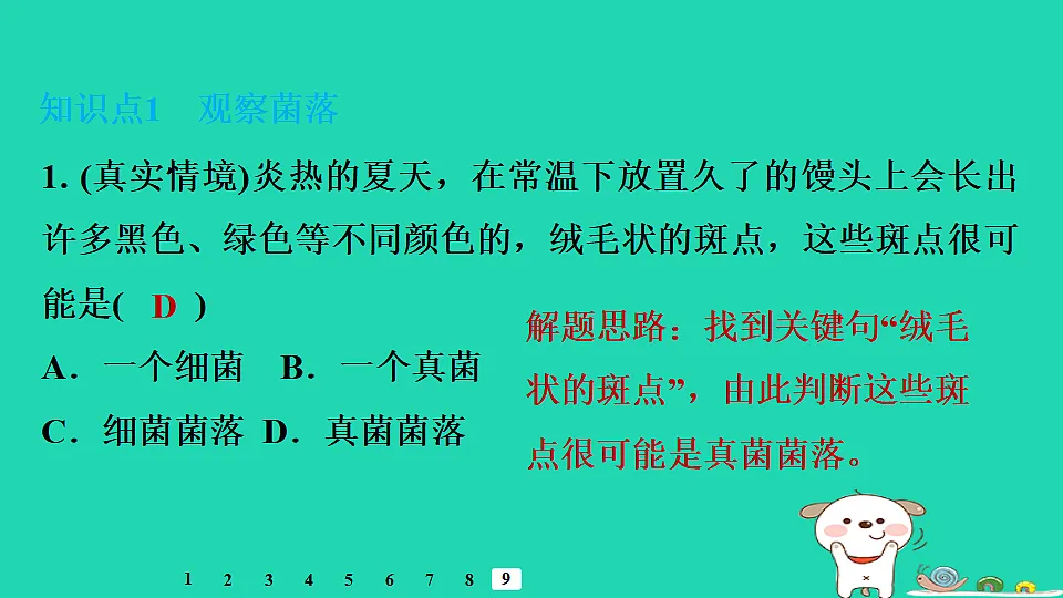 17795231第8页