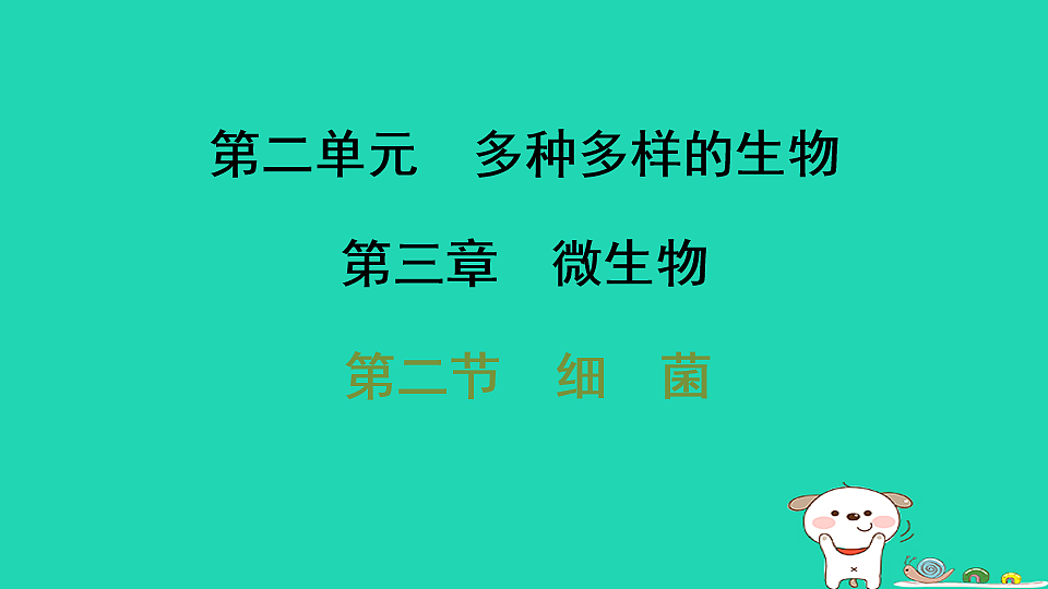 17795232第1页