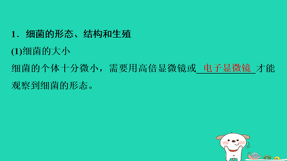 17795232第3页