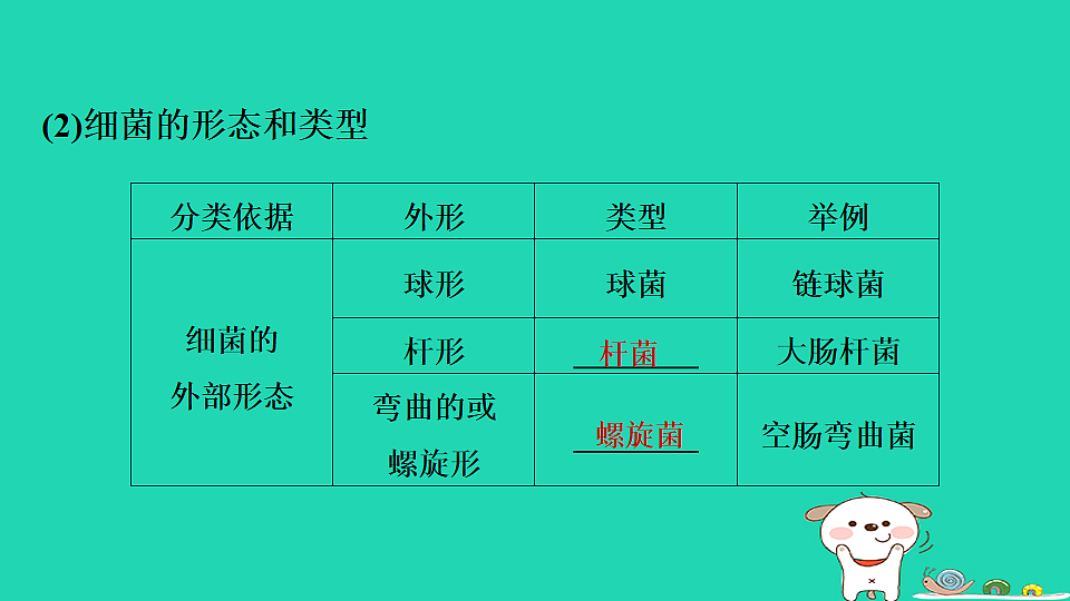 17795232第4页