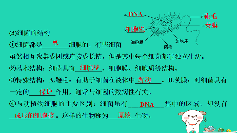 17795232第5页