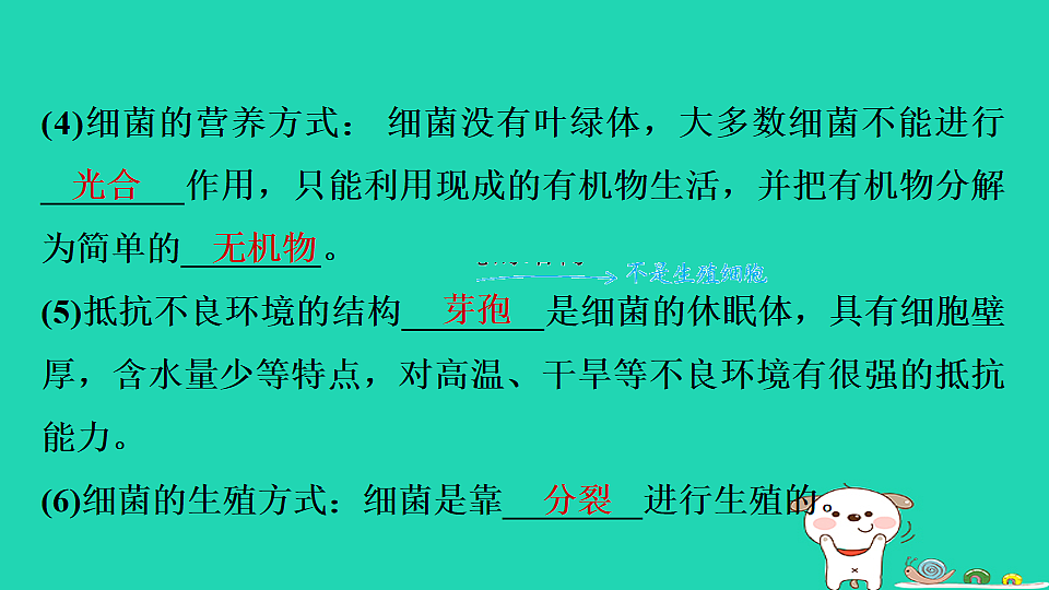 17795232第6页