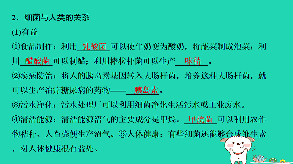 17795232第7页