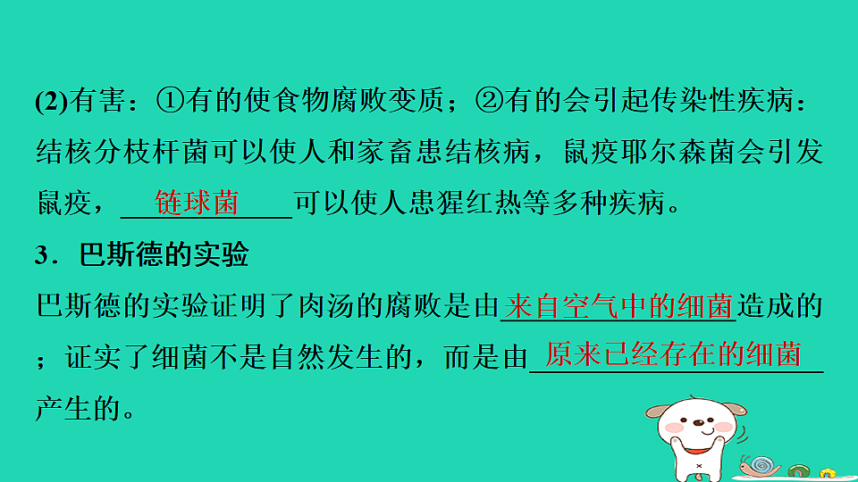 17795232第8页
