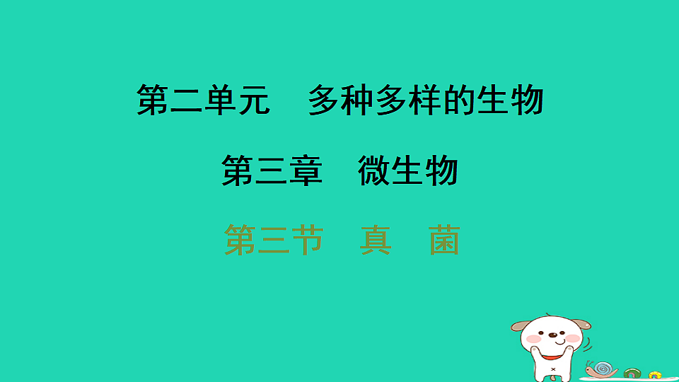 17795233第1页