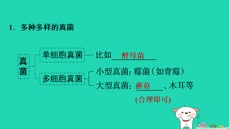 17795233第3页