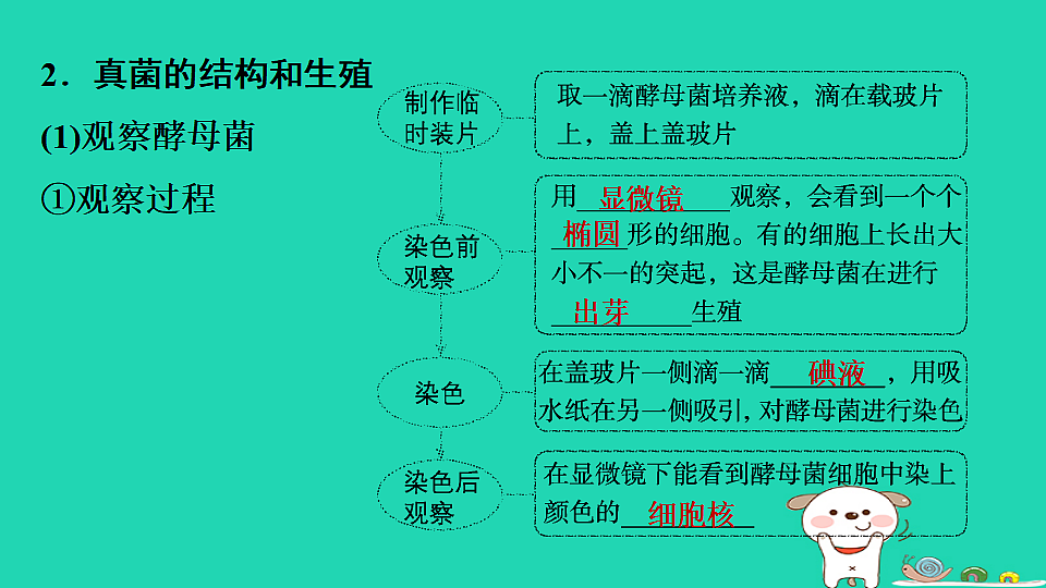 17795233第4页